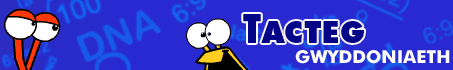 TACTEG