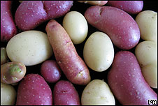Potatoes