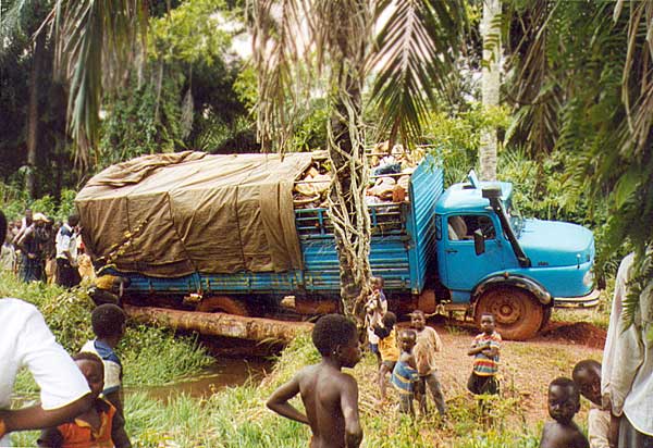Lorry breaks a log bridge over a river