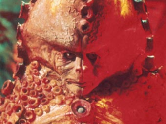 zygon