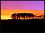 Trees and sunset near Holmfirth