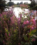 waterways