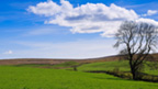 Flat, rural landscape of East Ayrshire.