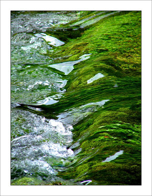 The river Dove