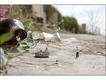 'Alta sociedade' (Foto: Slinkachu)