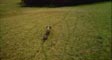dailylife's video screenshot thumbnail