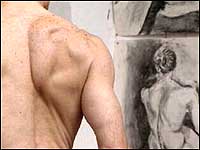 Art  model
