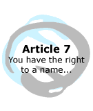 Article 7