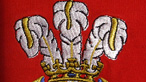 Tair pluen Tywysog Cymru (Llun: Tomasz Przechlewski)