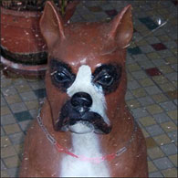 The plastic dog