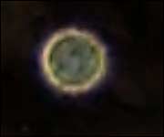 Orb