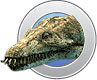 Nothosaur