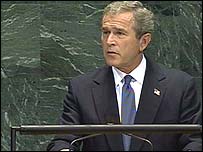 Bush