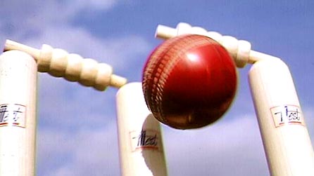 Cricket