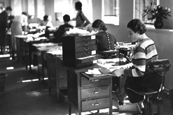 Women working in office