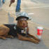 The coolest dog in Texas