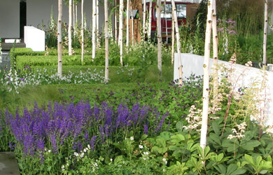 The Savills Garden
