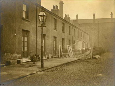 Old Meadows Gallery