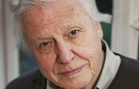 David Attenborough