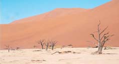Desert