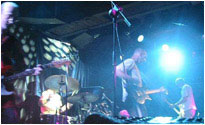Half Man, Half Biscuit