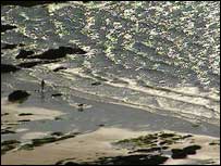 Whitsand beach