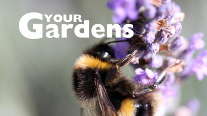 Your Gardens