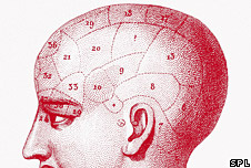 Brain Diagram