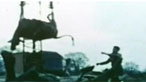 Clwy Traed a'r Genau 1967