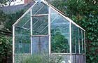Your questions (Image: Greenhouse)