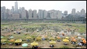 Chongqing
