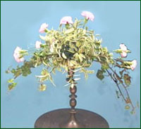 and continue the flowers in a line
