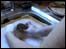 Washing up link