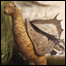 Imagem do "chupador-pulador" -  Crédito da foto: ©The Future is Wild Limited - Pictural Charts Educational Trust