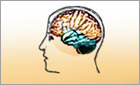 Understand your memory