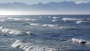 Waves