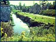 Nicholas Witchell reports on the decline of the disused Newry Canal (1980)