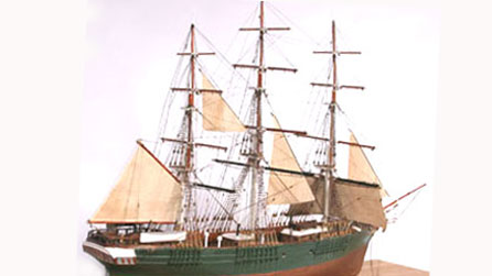 Model o'r Mimosa