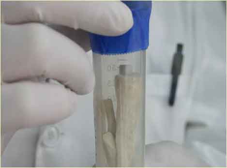 More lab tests