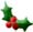 holly