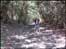 The Hollow Way in Redditch