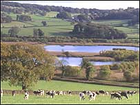 Somerset Levels  Photo courtesy of RSPB
