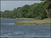 The Hamble